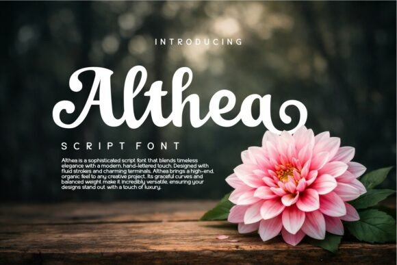 Althea: A Premium Script Font for Creative Campaigns