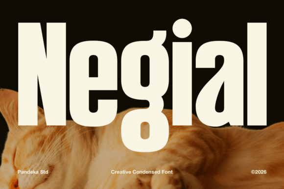 Negial: A Bold Display Font for Web Design