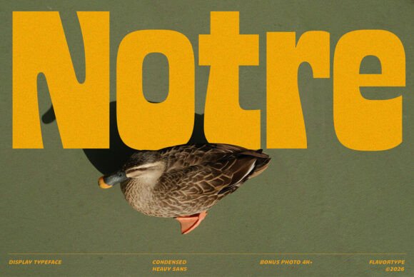 Notre Font: Bold Typography for Creative Makers
